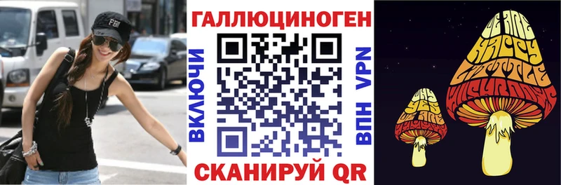 Псилоцибиновые грибы прущие грибы  blacksprut ТОР  Грозный 