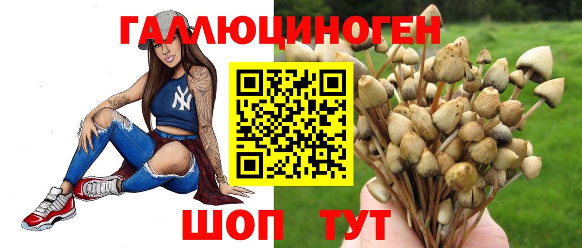 Псилоцибиновые грибы Cubensis Грозный